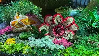 Majesty: The Grandeur of Nature (Full Bellagio Summer Conservatory Exhibit)