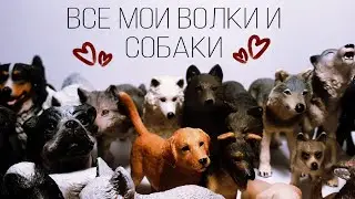 ВСЯ МОЯ КОЛЛЕКЦИЯ ВОЛКОВ И СОБАК | обзор