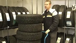 Зимние шины Maxxis, Triangle, Nexen