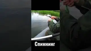 ЩУКА С ПЕРВОГО ЗАБРОСА!!! БОЛОТО ГДЕ МНОГО ЩУКИ 