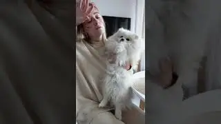 У НАС С КАССИ ВЗОРВАЛАСЬ РУЛЕТКА 🤯