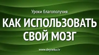 [Уроки Благополучия] Как использовать свой мозг