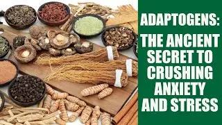 The 5 Best Adaptogens for Anxiety (Backed By Science) #adaptogens