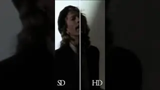 New Bee Gees Videos 