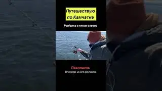 Путешествие по Камчатке - рыбалка в Тихом океане