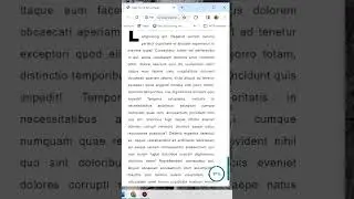 Custom Scroll Bar & Page Scroll Percentage HTML CSS and JS