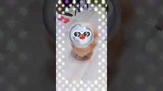 Добренькое утречко! #pets #собака #new2023 #Новыйгод #Скороновыйгод