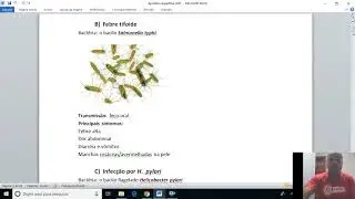 Bacterioses do sistema digestório