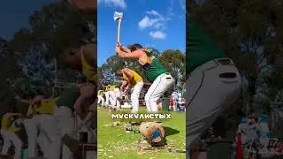 Дагестанец обхитрил американских лесорубов 😎🇺🇸🪓
