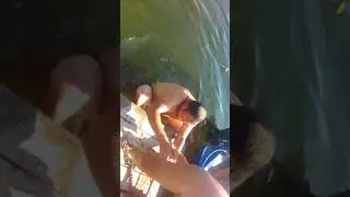 Kapayangi 89 lar volga daryosida