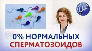 Тератозооспермия c 0% нормальных сперматозоидов. Поможет ли ЭКО? Дементьева С.Н.