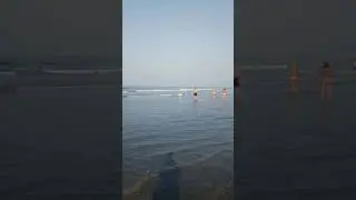 Утренние купания. Морджим