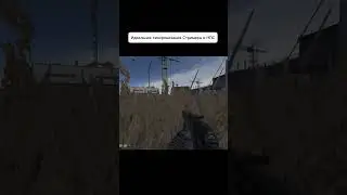 Идеальная синхронизация #stalker #gaming