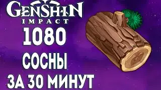 СБОР СОСНЫ (pine) 1080 ШТК ЗА 30 МИНУТ [Guide] [Маршрут] ► Genshin impact