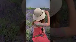 Lavender Fields 👒