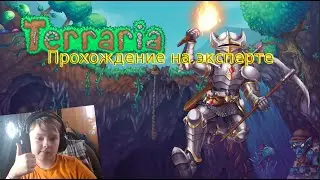 Прохождение террарии на эксперте #1