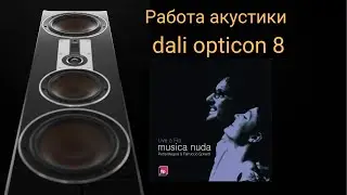 Работа акустики dali opticon 8 музыка Petra Magoni, Ferruccio Spinetti - Fever