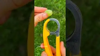 Can it cut a grape?! 🍇
