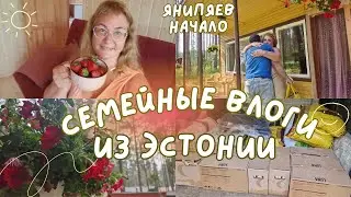 Дачные влоги с Чудского озера.Янов день.Приехали муж и дочка.Новая мебель для дачи. Обзор продуктов