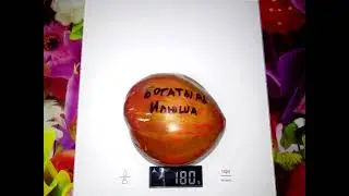Томат Богатырь Илюша