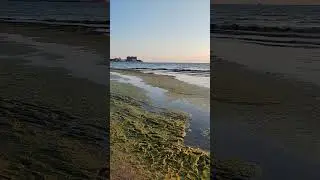 Отель Grand  Hotel Anana грязь и вонь на пляже