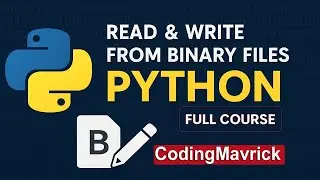 10. How to Read and Write from Binary Files in Python Full Course 2025 | Urdu/Hindi