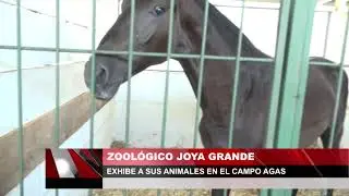 Zoológico Joya Grande exhibe a sus animales en el Campo Agas