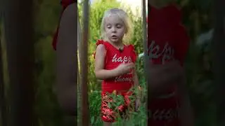 Бабушкин огород! А где вы покупаете овощи и фрукты?) 