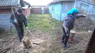 Заготовка дров. Каламбур - Деревня Дураков.