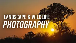 Intro Photography Tips | Landscapes & Wildlife