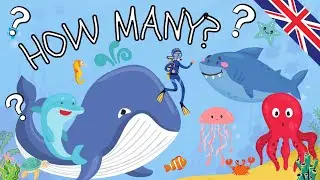 How many? Sea animals ESL vocabulary