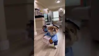 Термінова доставка гарного настрою 😛