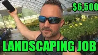 $6,500 Landscaping Project Install (Before, During & After) - Sod, Plants, Tree, Grading,
