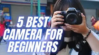 5 Best Cameras for Beginners in 2021