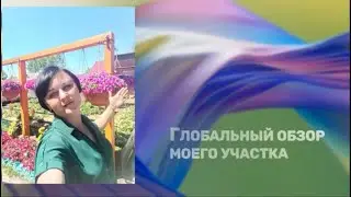 Глобальный обзор моего участка - Петуния выращивание и уход - Обустройство участка