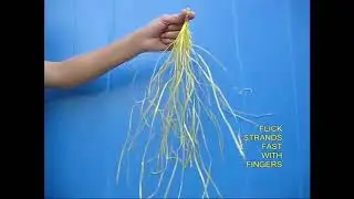 STATIC ELECTRICITY  ; 