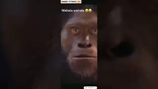 #ape turned #human because of #portable music