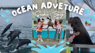 OCEAN ADVENTURE Subic Bay | Dolphins & Sea lion show| AkiAshiAyou