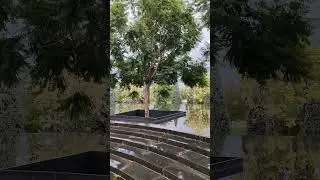 г. Краснодар, в парке Галицкого