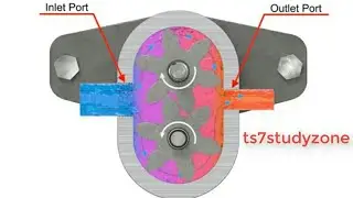 External Gear Pump Working Animation With Detail Explanation | TS7STUDYZONE