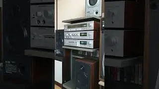 Radiotehnika 101 #дельфин #ретро #акустика #винтаж #коллекция #колонки