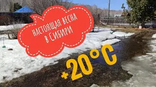 Настоящая весна в Сибири 