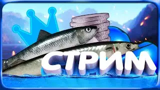 РР4 СТРИМ • ТОП ФАРМ на Малявках с 34-й банки Норвежского моря!