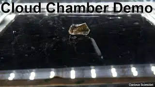 Nuclear processes in a cloud chamber for 10+ minutes