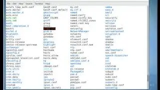 Linux DNS server