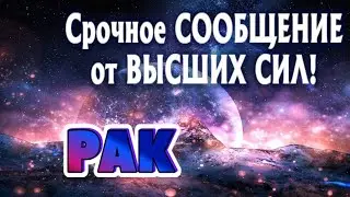 РАК 💯💯💯 СРОЧНОЕ СООБЩЕНИЕ от ВЫСШИХ СИЛ Таро Расклад онлайн