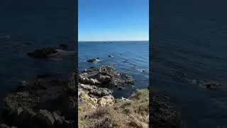 Побережье тихого океана в California