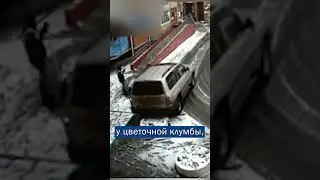 😂 Клумба решила, что с ним ей будет лучше! | Итак, новости! 