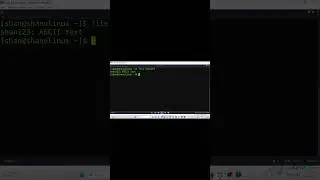 Linux File Command Explained in 1 minute 