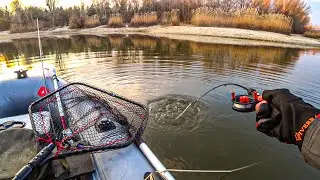 НЕРВЫ НА ГРАНИ! ОПУСТИЛ КАМЕРУ, А ТАМ ЛОГОВО САЗАНОВ МОНСТРОВ! Сазан на боковой кивок. Рыбалка 2024